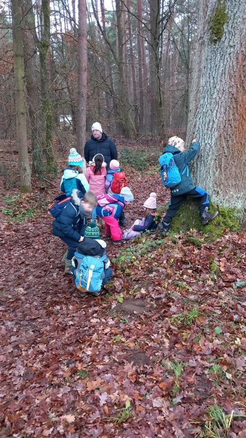 Weihnachtlicher Orientierungslauf